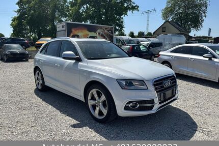 Audi SQ5 Gebrauchtwagen