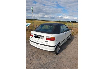 Fiat Punto Gebrauchtwagen