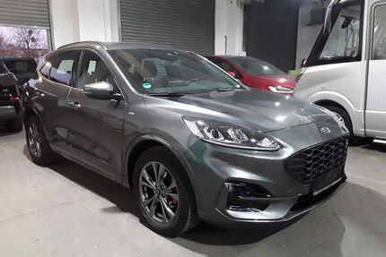 Ford Kuga Gebrauchtwagen