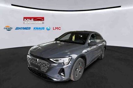 Audi Q8 e-tron Gebrauchtwagen