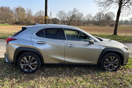 Lexus Andere Gebrauchtwagen