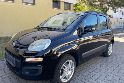 Fiat Panda Gebrauchtwagen