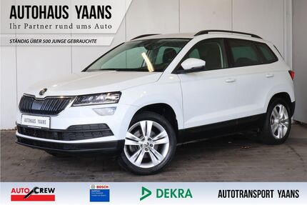 Skoda Karoq Gebrauchtwagen