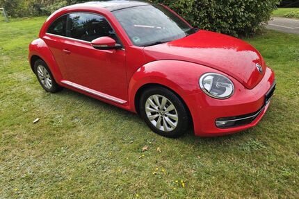 VW Beetle Gebrauchtwagen