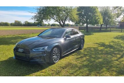 Audi A5 Gebrauchtwagen