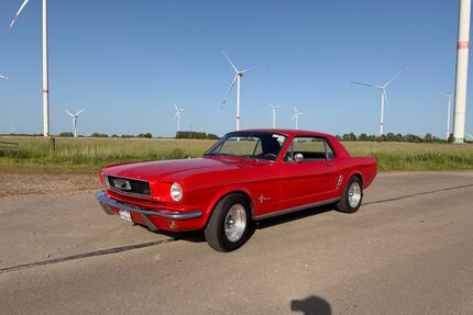 Ford Mustang Gebrauchtwagen
