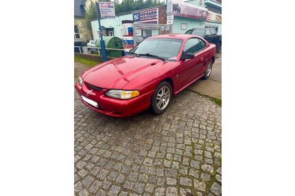 Ford Mustang Gebrauchtwagen