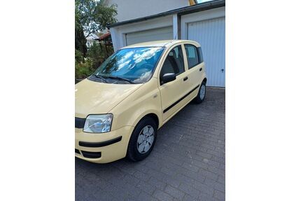 Fiat Panda Gebrauchtwagen