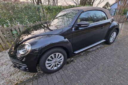 VW Beetle Gebrauchtwagen
