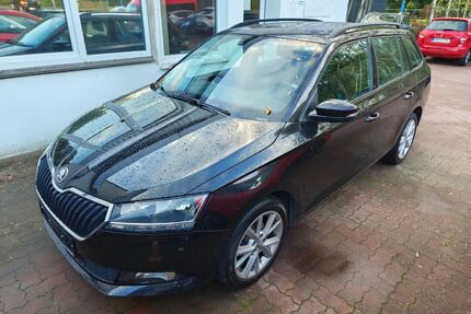 Skoda Fabia Gebrauchtwagen