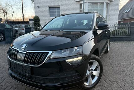 Skoda Karoq Gebrauchtwagen