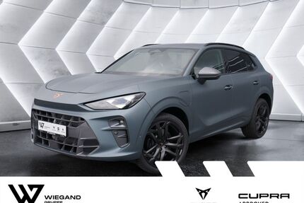 Cupra Terramar Gebrauchtwagen