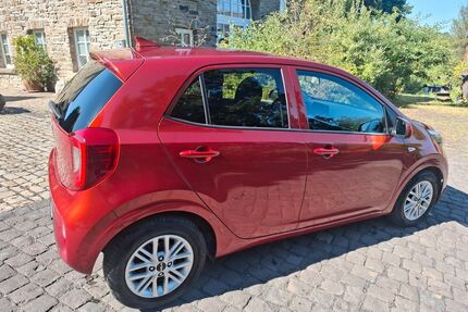 Kia Picanto Gebrauchtwagen