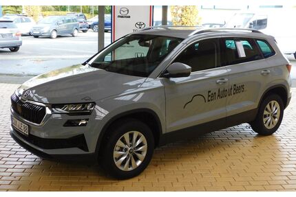 Skoda Karoq Gebrauchtwagen
