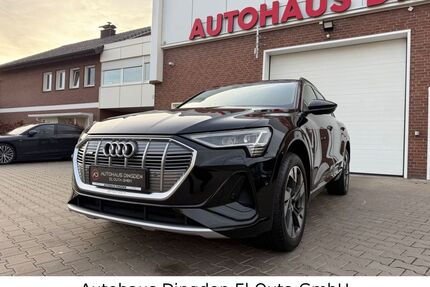 Audi e-tron Gebrauchtwagen