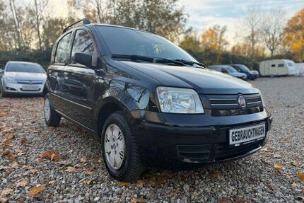 Fiat Panda Gebrauchtwagen