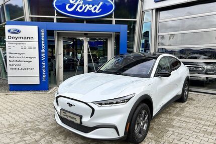 Ford Mustang Mach-E Gebrauchtwagen