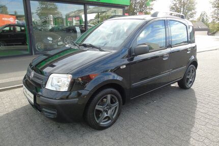 Fiat Panda Gebrauchtwagen