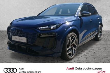 Audi Q6 e-tron Gebrauchtwagen