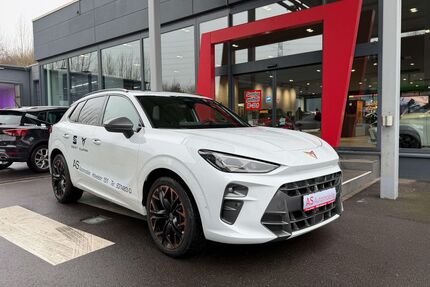 Cupra Terramar Gebrauchtwagen