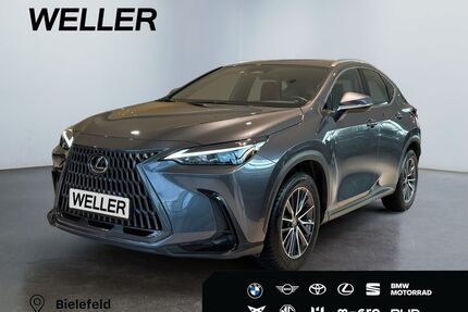 Lexus NX 350h Gebrauchtwagen