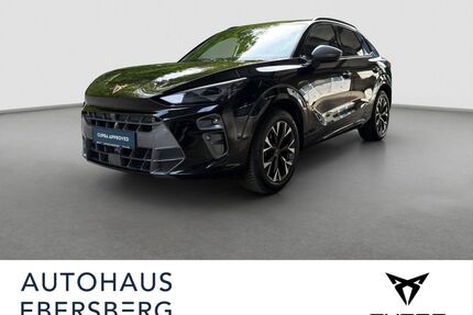 Cupra Terramar Gebrauchtwagen