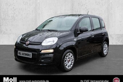 Fiat Panda Gebrauchtwagen
