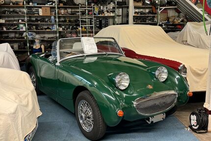 Austin Healey Andere Gebrauchtwagen