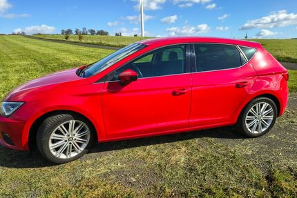 Seat Leon Gebrauchtwagen