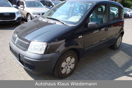 Fiat New Panda Gebrauchtwagen