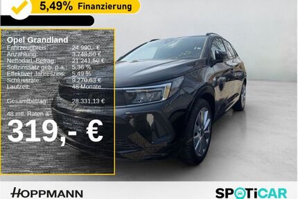 Opel Grandland (X) Gebrauchtwagen