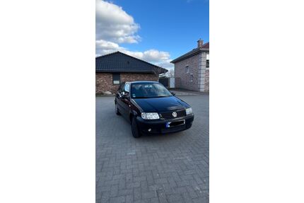 VW Polo Gebrauchtwagen