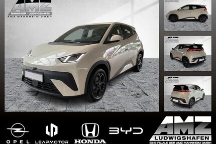 BYD DOLPHIN SURF Gebrauchtwagen
