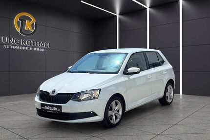 Skoda Fabia Gebrauchtwagen