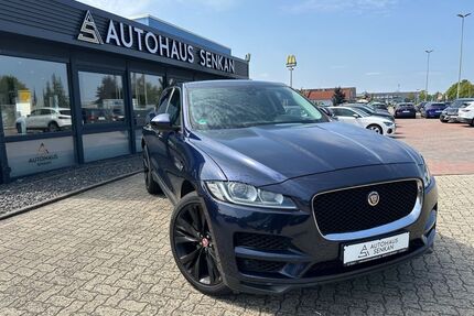 Jaguar F-Pace Gebrauchtwagen