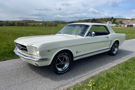 Ford Mustang Gebrauchtwagen
