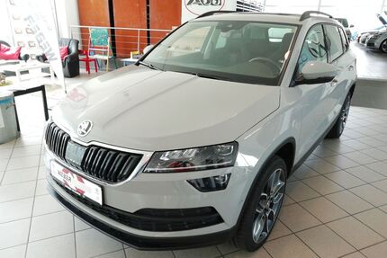 Skoda Karoq Gebrauchtwagen