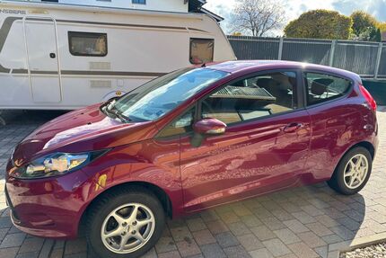 Ford Fiesta Gebrauchtwagen