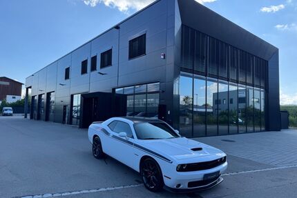 Dodge Challenger Gebrauchtwagen