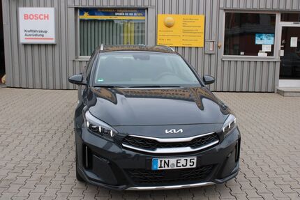 Kia XCeed Gebrauchtwagen
