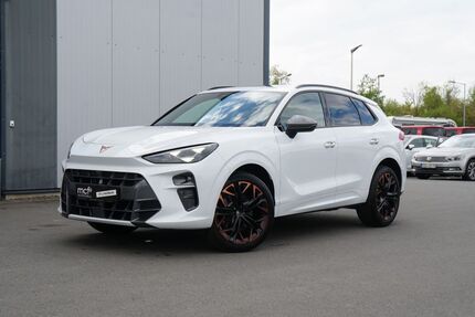 Cupra Terramar Gebrauchtwagen