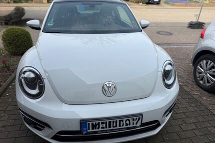 VW Beetle Gebrauchtwagen