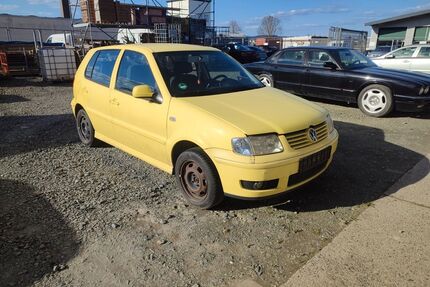 VW Polo Gebrauchtwagen