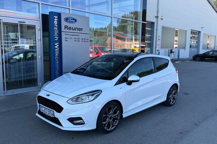 Ford Fiesta Gebrauchtwagen