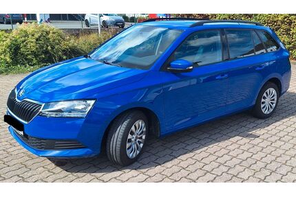 Skoda Fabia Gebrauchtwagen