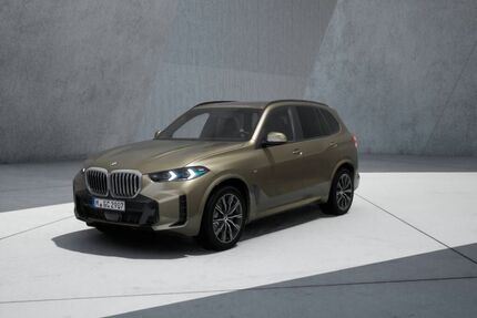 BMW X5 Gebrauchtwagen