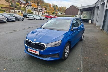 Skoda Fabia Gebrauchtwagen