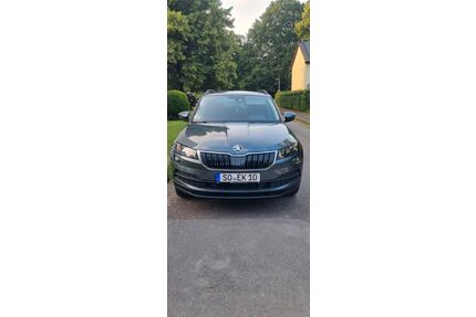 Skoda Karoq Gebrauchtwagen