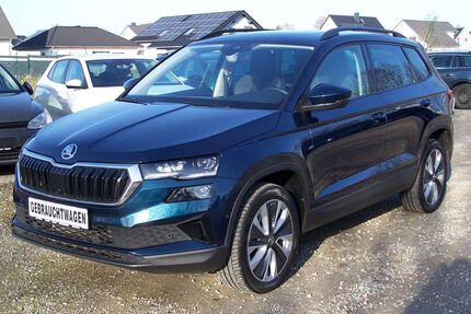 Skoda Karoq Gebrauchtwagen