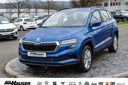 Skoda Karoq Gebrauchtwagen